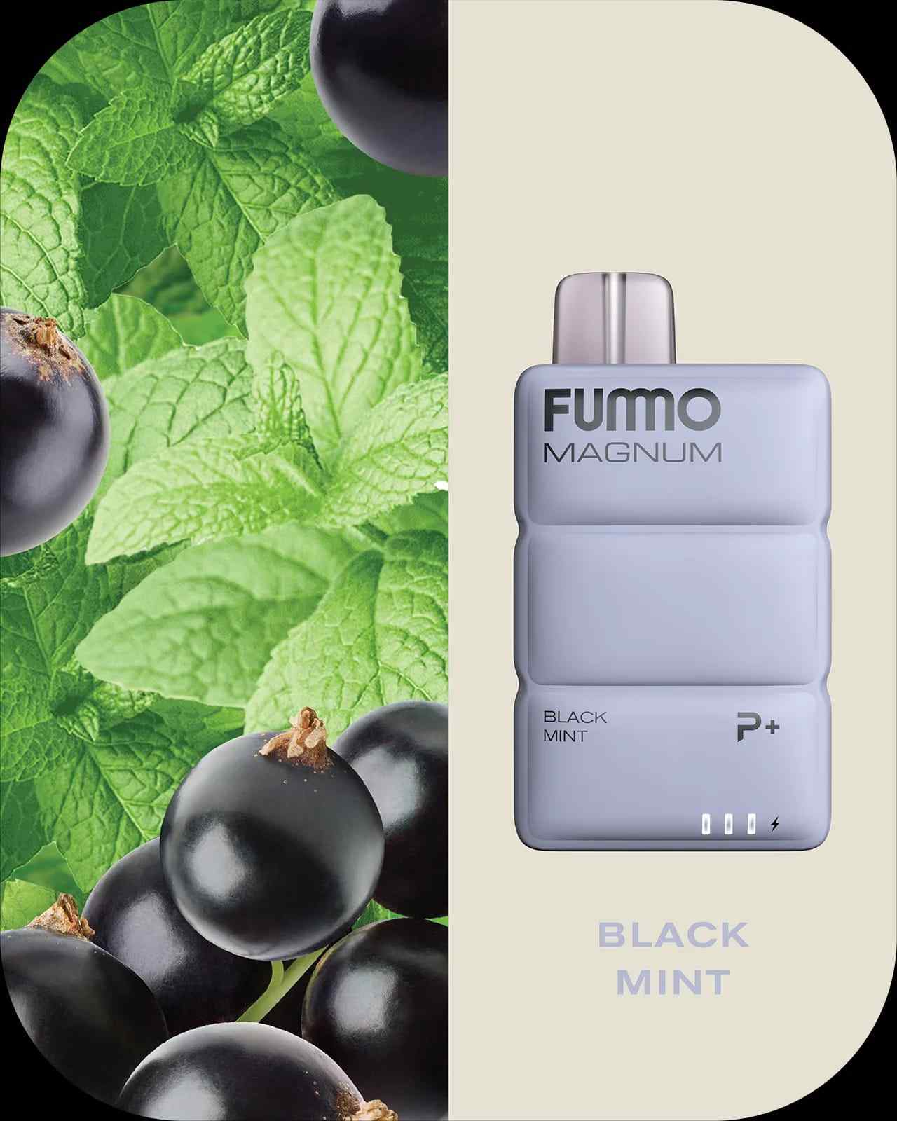 FUMMO Magnum 8000 Puffs Disposable Vape In Dubai UAE