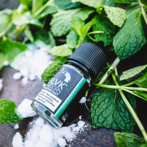 Blvk Bar Saltnic 30ml E-liquid 35mg and 50mg In UAE