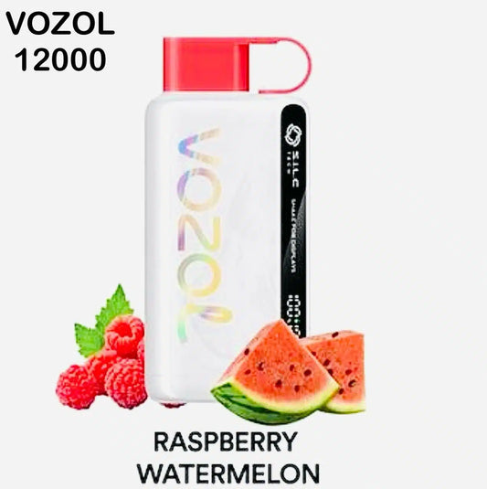Vozol Star 12000 Puffs Disposable Vape in Dubai UAE