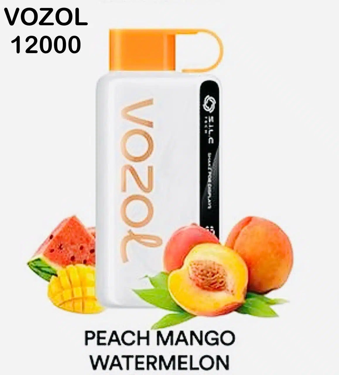 Vozol Star 12000 Puffs Disposable Vape in Dubai UAE