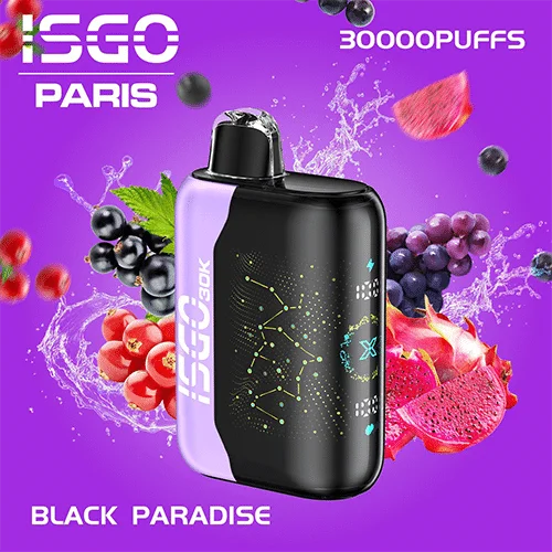 Isgo Paris X 30000 Puffs Disposable Vape In Dubai Abu Dhabi UAE