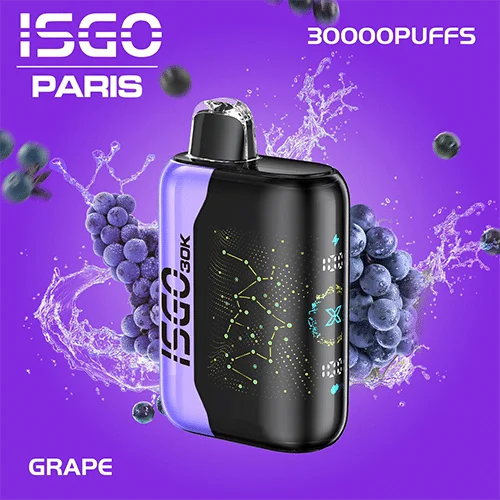 Isgo Paris X 30000 Puffs Disposable Vape In Dubai Abu Dhabi UAE