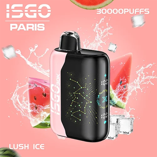Isgo Paris X 30000 Puffs Disposable Vape In Dubai Abu Dhabi UAE