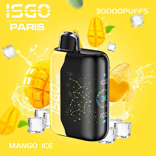 Isgo Paris X 30000 Puffs Disposable Vape In Dubai Abu Dhabi UAE