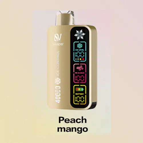 Best SILVAPER Ice Control 40000 Puffs Disposable Vape in Dubai UAE