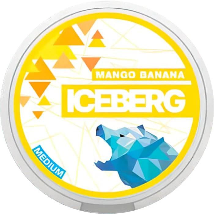 ICEBERG Nicotine Pouches in Dubai, Abu Dhabi, UAE