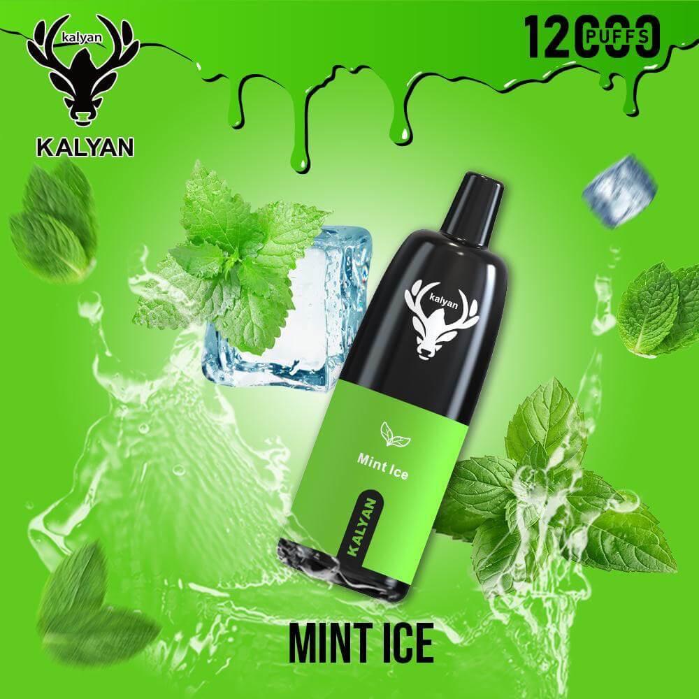 Kalyan 12000 Puffs Disposable Vape in Dubai UAE