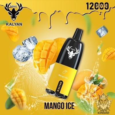 Kalyan 12000 Puffs Disposable Vape in Dubai UAE