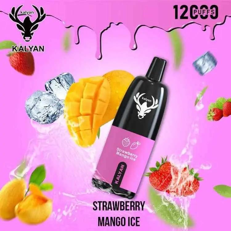 Kalyan 12000 Puffs Disposable Vape in Dubai UAE