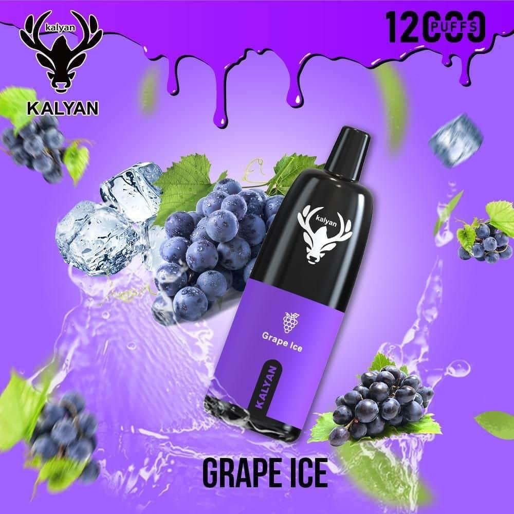 Kalyan 12000 Puffs Disposable Vape in Dubai UAE