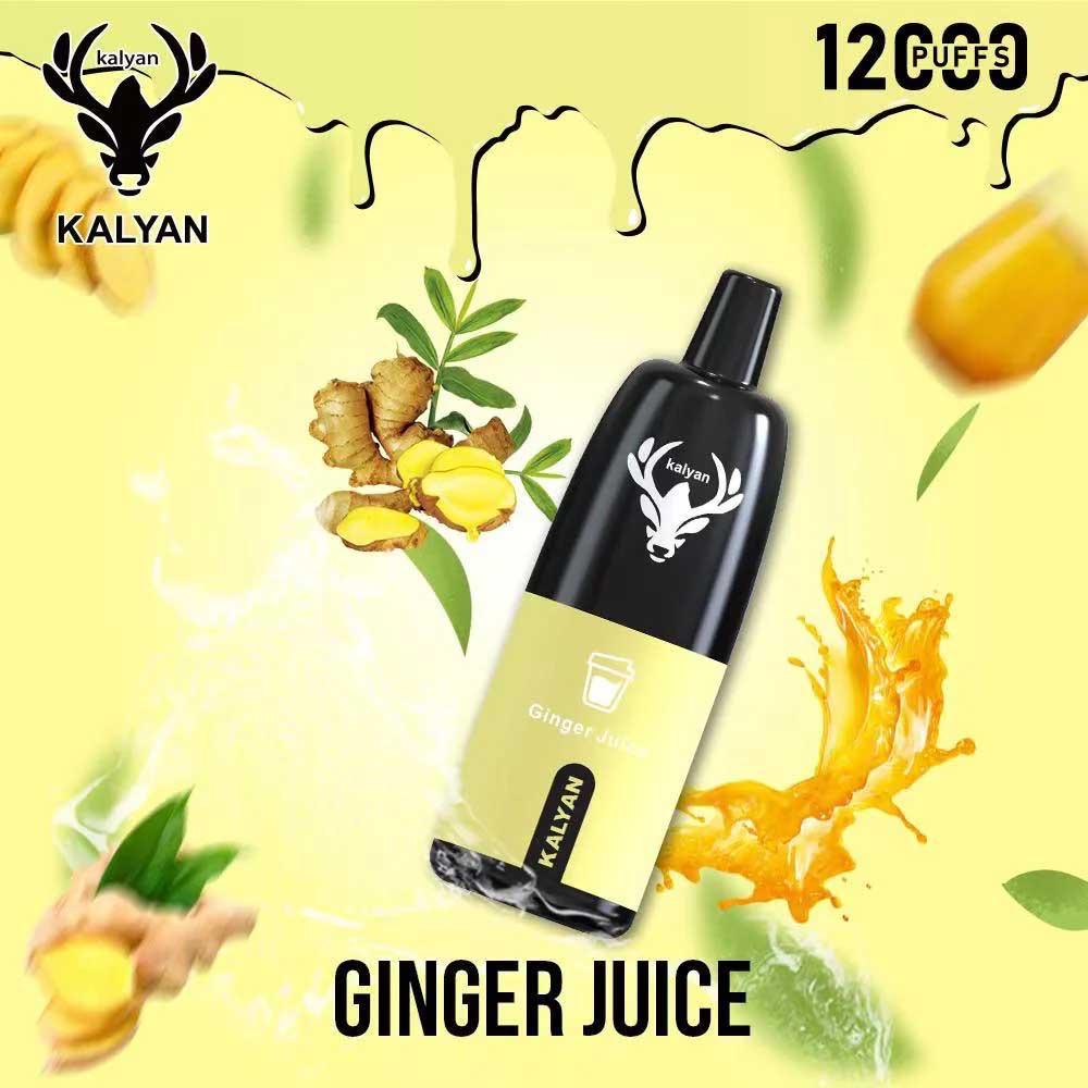 Kalyan 12000 Puffs Disposable Vape in Dubai UAE