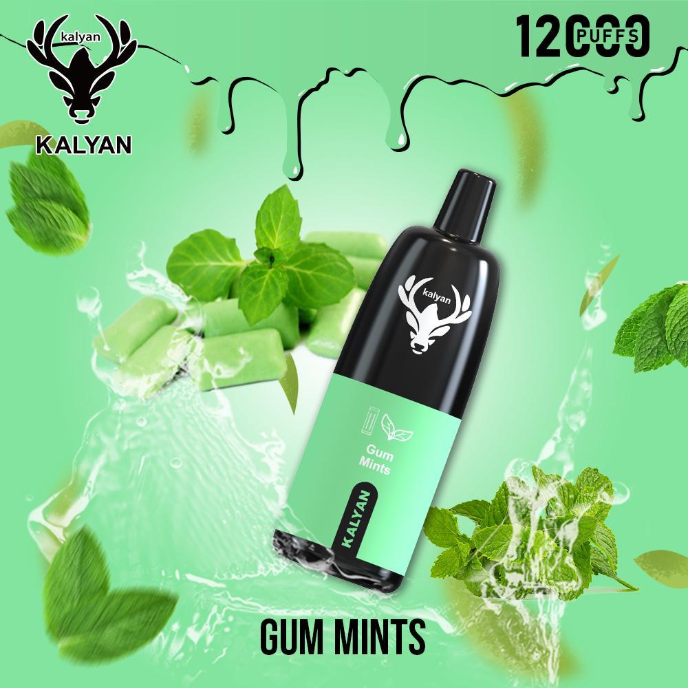 Kalyan 12000 Puffs Disposable Vape in Dubai UAE
