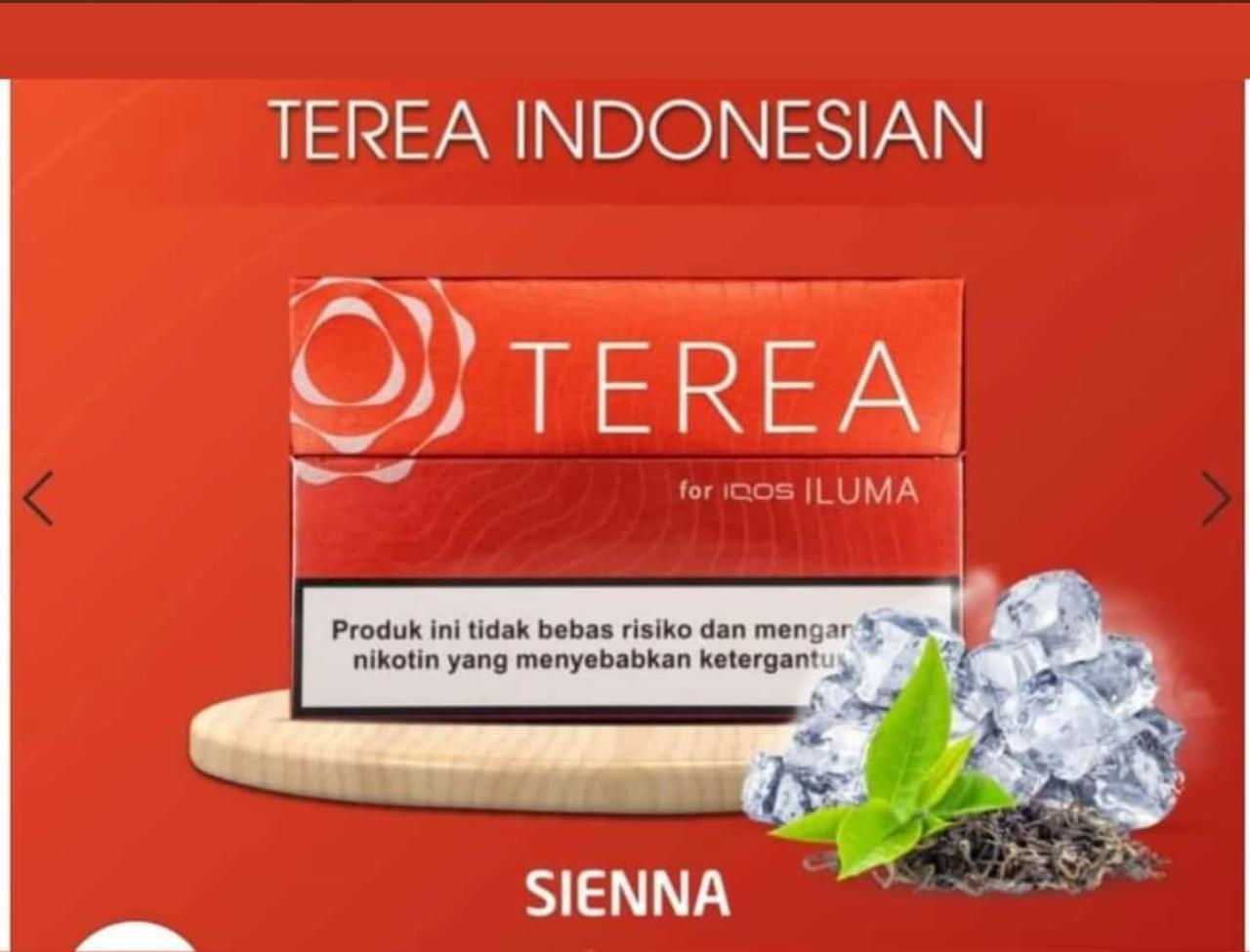 Iqos Terea Indonesian All Flavors in Dubai UAE Abu Dhabi Sharjah