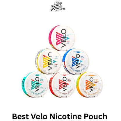 Best Velo Nicotine Pouch All Flavors in Dubai, UAE