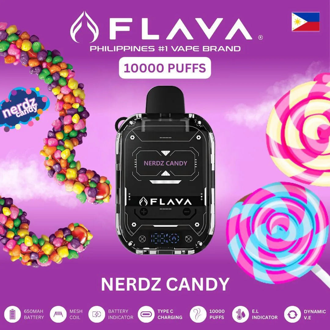 Flava Nimmbox 10000 Puffs Disposable Vape In Dubai UAE