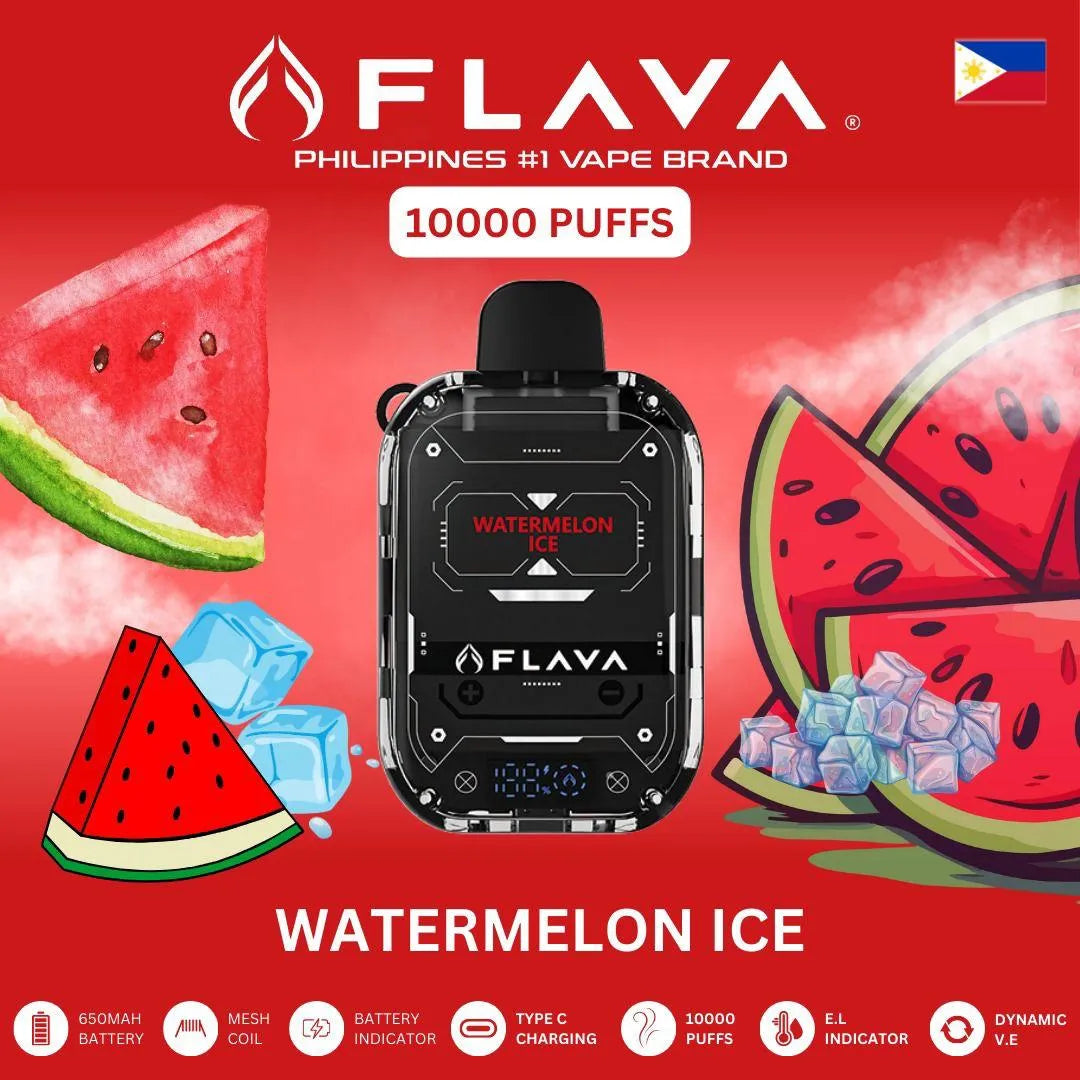 Flava Nimmbox 10000 Puffs Disposable Vape In Dubai UAE