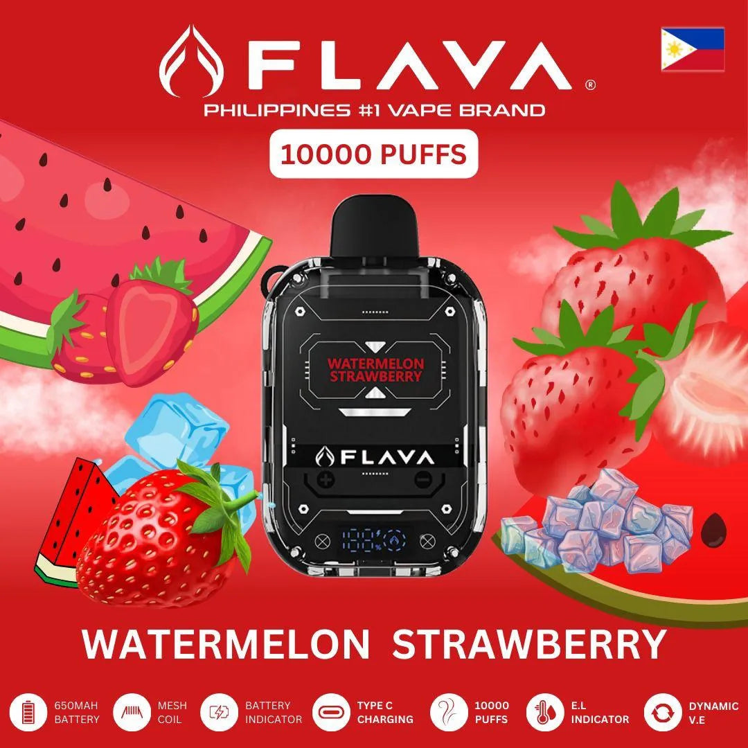 Flava Nimmbox 10000 Puffs Disposable Vape In Dubai UAE