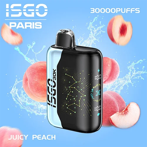 Isgo Paris X 30000 Puffs Disposable Vape In Dubai Abu Dhabi UAE