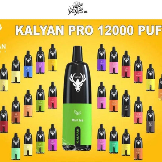 Kalyan 12000 Puffs Disposable Vape in Dubai UAE