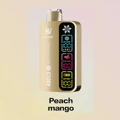 Best SILVAPER  Ice Control 40000 Puffs Disposable Vape in Dubai UAE