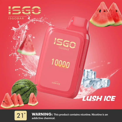 ISGO Bar 10000 Puffs Disposables Vape 2% in Dubai Abu Dhabi UAE