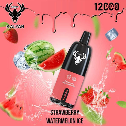 Kalyan 12000 Puffs Disposable Vape in Dubai UAE