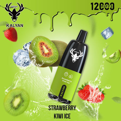 Kalyan 12000 Puffs Disposable Vape in Dubai UAE