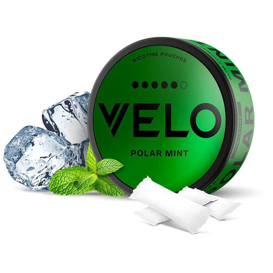 Best Velo Nicotine Pouch All Flavors in Dubai, UAE