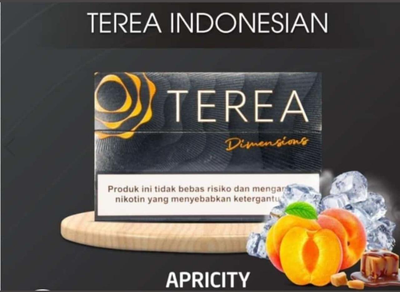 Iqos Terea Indonesian All Flavors in Dubai UAE Abu Dhabi Sharjah