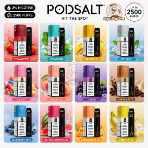 Pod Salt Go Disposable Vape 2500 Puffs